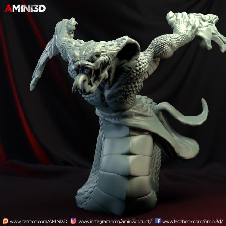 Amini3D December 2019 Yuan Ti Amini3D  MINISTL 3