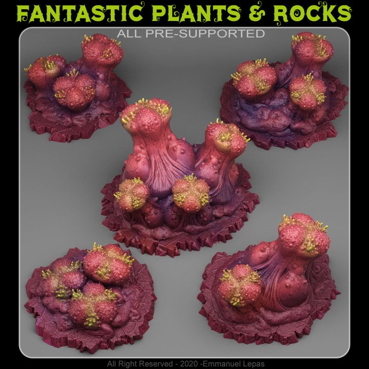 Fantastic Plants And Rocks December 2021 Fantastic Plants & Rocks  MINISTL 3