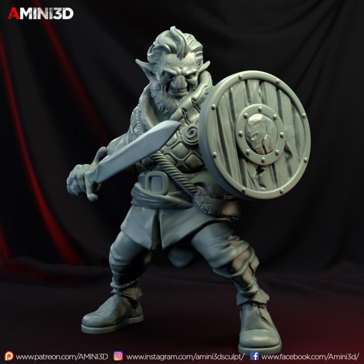 Amini3D January 2020 Firbolgs Amini3D  MINISTL