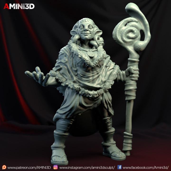 Amini3D January 2020 Firbolgs Amini3D  MINISTL 3