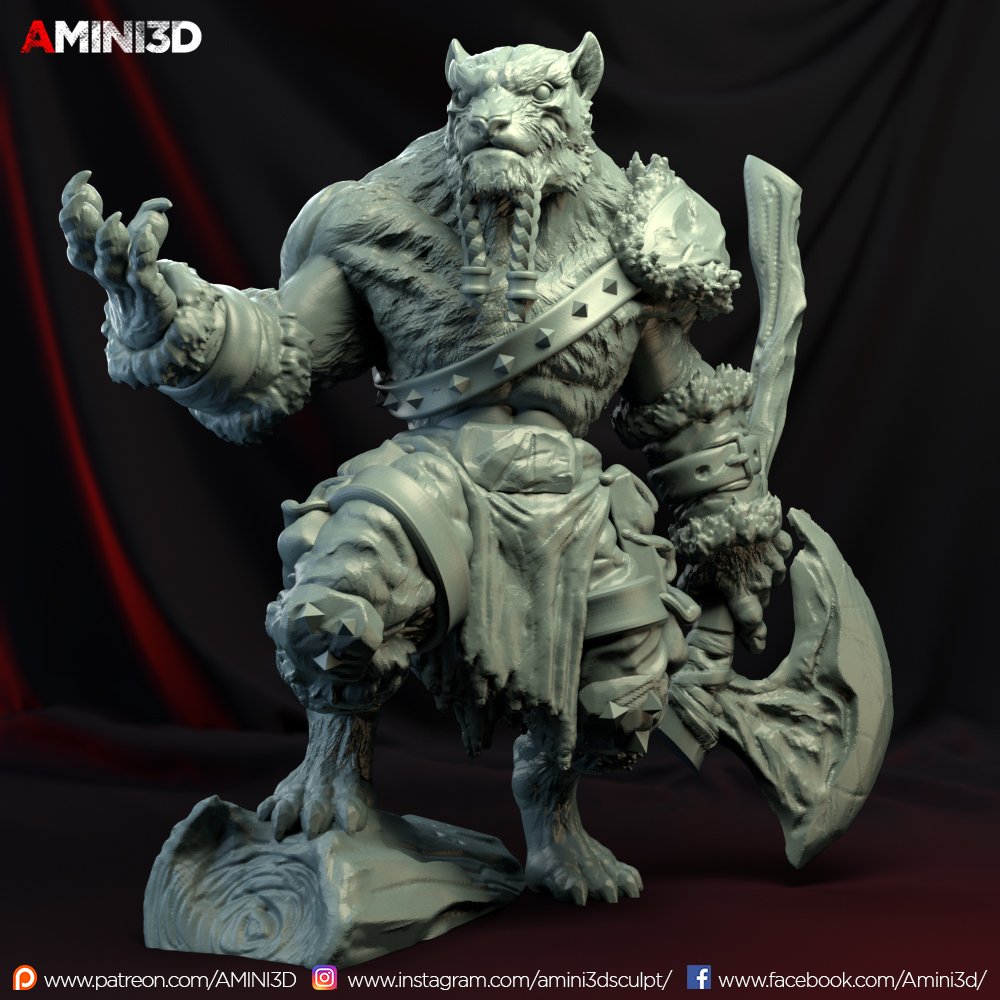 Amini3D November 2019 Tabaxi Amini3D  MINISTL