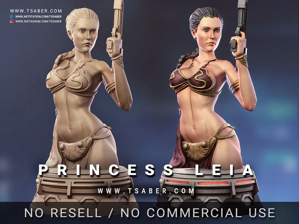 Fan Art Models Princess Leia Bust from Star Wars  MINISTL 3