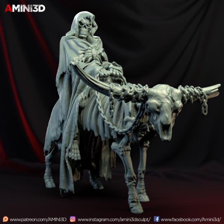 Amini3D September 2019 (Skeletons) Amini3D  MINISTL