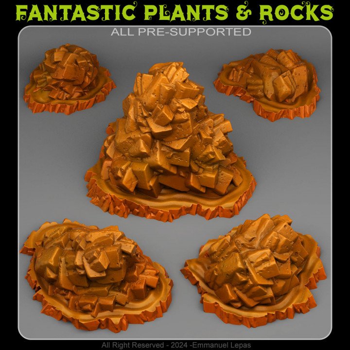 Fantastic Plants And Rocks January 2024 Fantastic Plants And Rocks  MINISTL 5